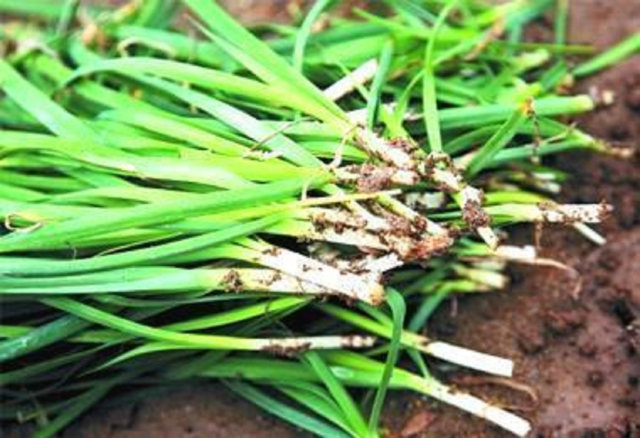 恶意操控股价?反复急拉急砸甩货3.4亿 又一批