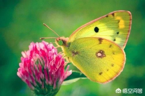 姻缘真的是上天注定吗?