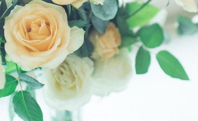 这3个生肖2018是潜力股,2019年家财万贯,全家