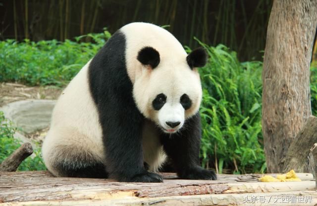 印度人觉得中国哪座城市最有钱?来过中国旅游