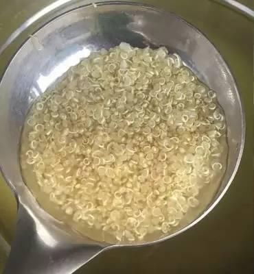 藜麦到底是个什么玩应?