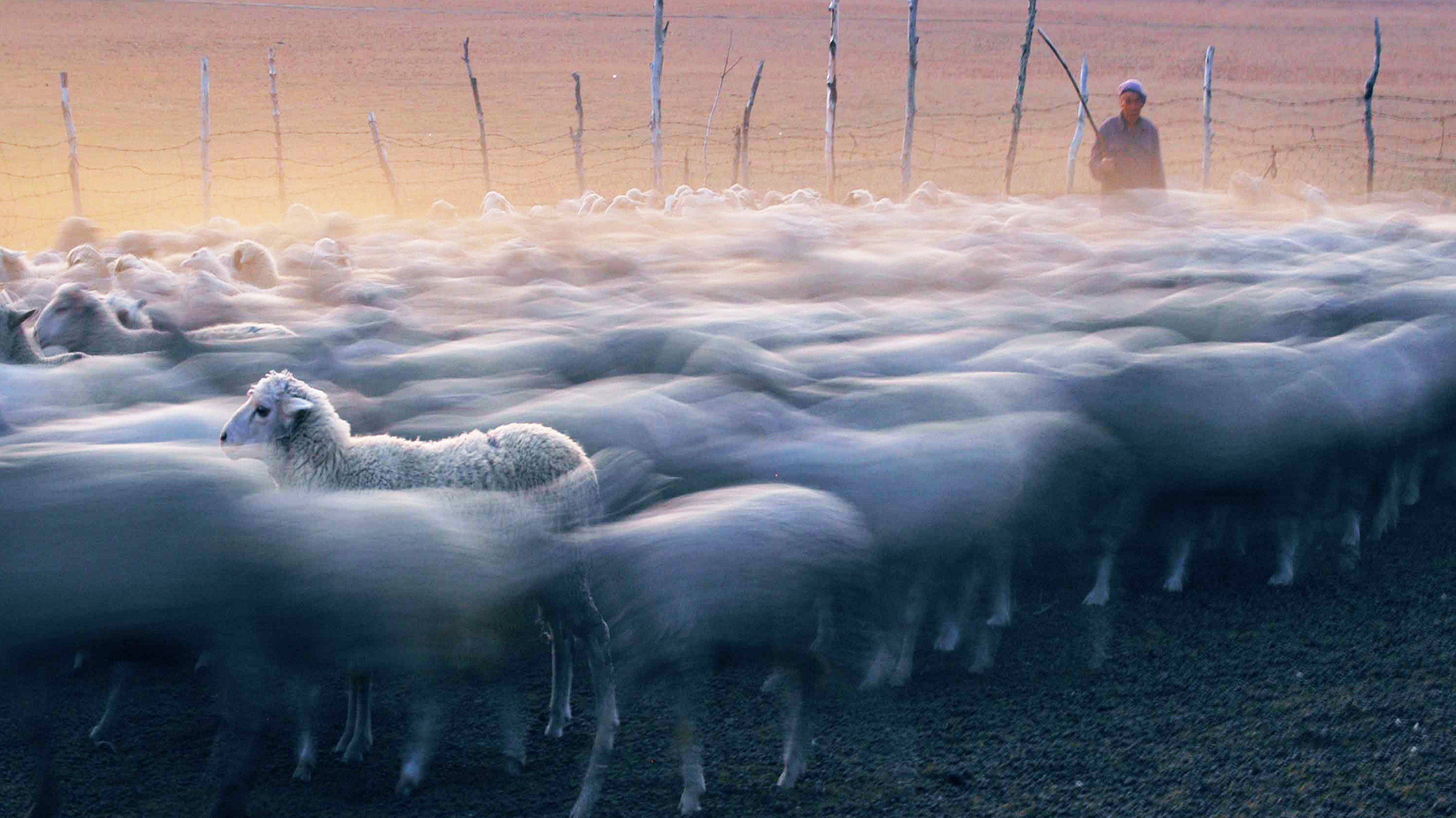 2018年看大美中国 2018年看大美中国