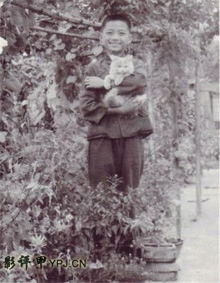 怼范冰冰那都是打酱油,其实崔永元最想干掉的