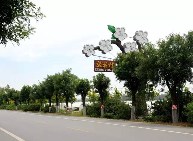 李杨薇梨花村里做评委 饺子包出“状元梦” 李杨薇梨花村里做评委 饺子包出“状元梦”