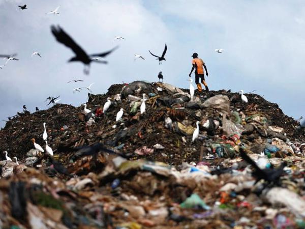 惊人!地球塑料垃圾已近70亿吨