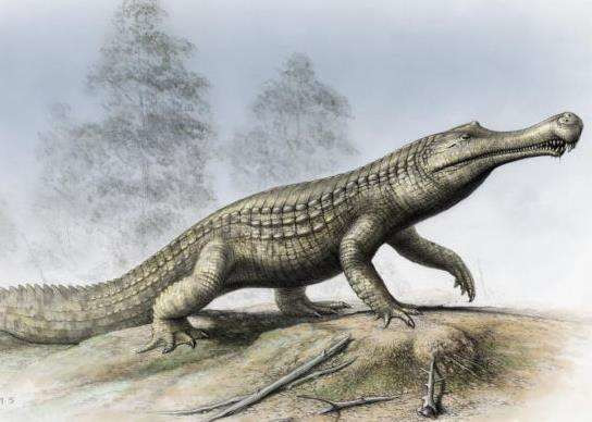 草食恐龙的噩梦不仅仅是食肉恐龙,这个家伙也很牛!