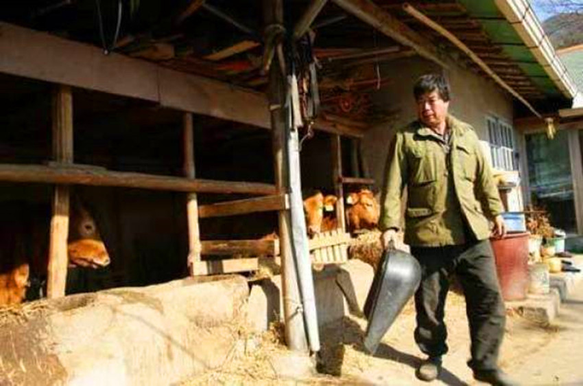 实拍韩国农村的面貌,品味普通百姓的真实生活