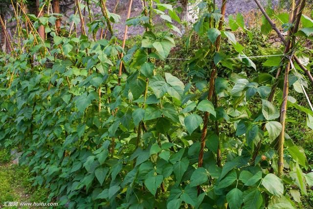 最新适合农村、乡镇的六个小本生意,不起眼的