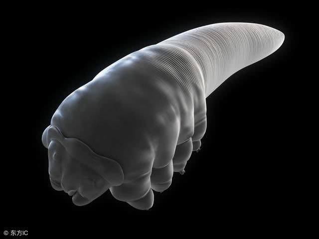 每天掉发量多少会谢顶变秃?如果这3个征兆,请