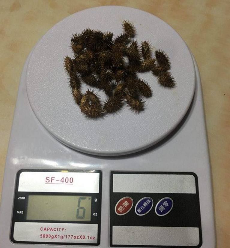 这一个民间土方治鼻炎,现在还在用,效果奇好,已