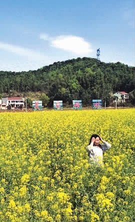 整合涉农资金 建设美丽乡村--关于湖南省湘潭县梅林桥美丽乡村示范片