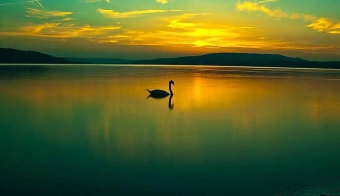 老婆打翻相册发现我的秘密,面对妻子铁青的脸