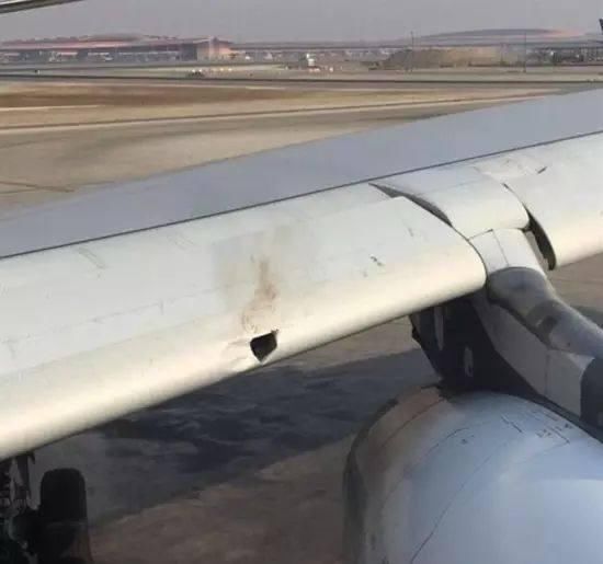 撞鸟返航,美国西南航空再出事故!飞机撞鸟到底