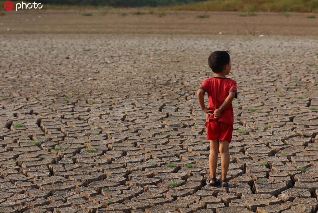 湖北云梦持续高温干旱 300多亩堰塘龟裂成纹