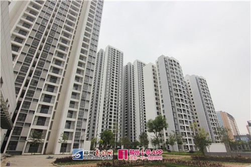 柳州杨柳新居经济适用房配售结束 洛维新居经