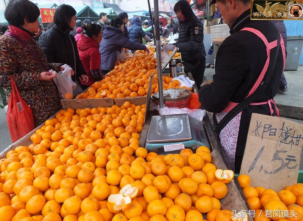 湖北宜昌:菜市场商家卖椪柑,价格亲民!吃椪柑会