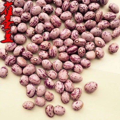 太原中小企业局在帮扶村发展雀蛋豆产业种植项