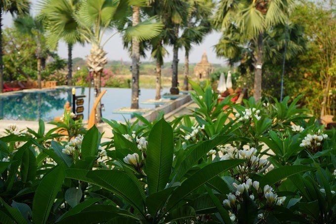 澳门网投赌场微信15368588872