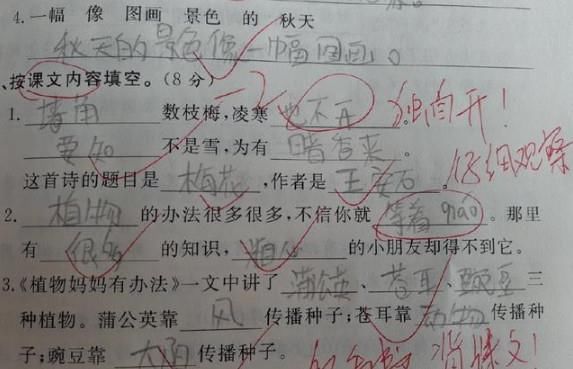 语文考试95分,小学生奇葩造句看笑爸爸,老师也