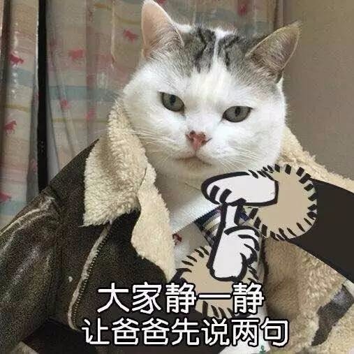 像热锅上的蚂蚁用英语怎么说?为啥是喵喵喵?