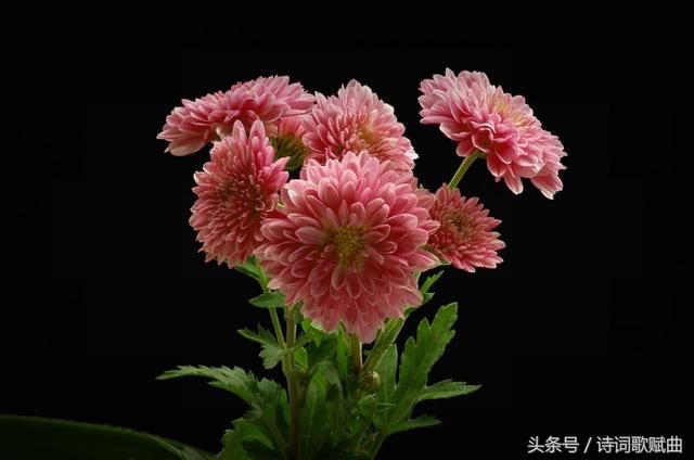 郦道元这本书,记载很多稀奇古怪故事和地名,比