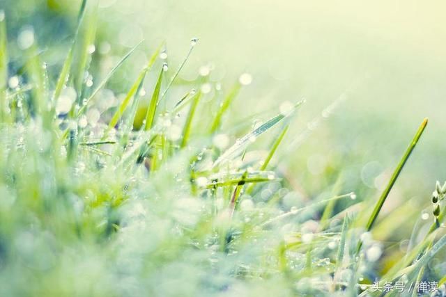 非常经典的句子:不必等待,无需远行