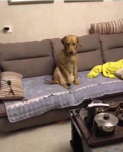 半夜回家灯却亮着,网友:家里进贼了?打开门后