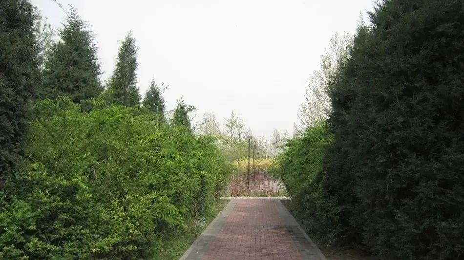 北京朝阳站周边又要“变样儿”啦! 北京朝阳站周边又要“变样儿”啦!