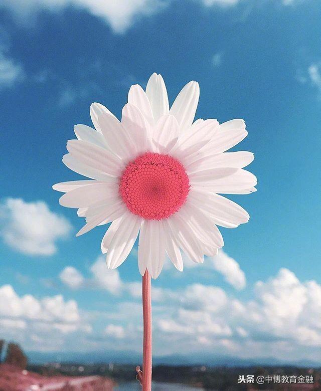 创业新点子新项目:可靠的家庭小型创业项目,马