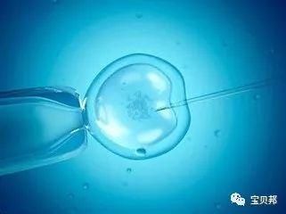 37岁熊黛林喜获双胞胎千金,又是通过试管婴儿