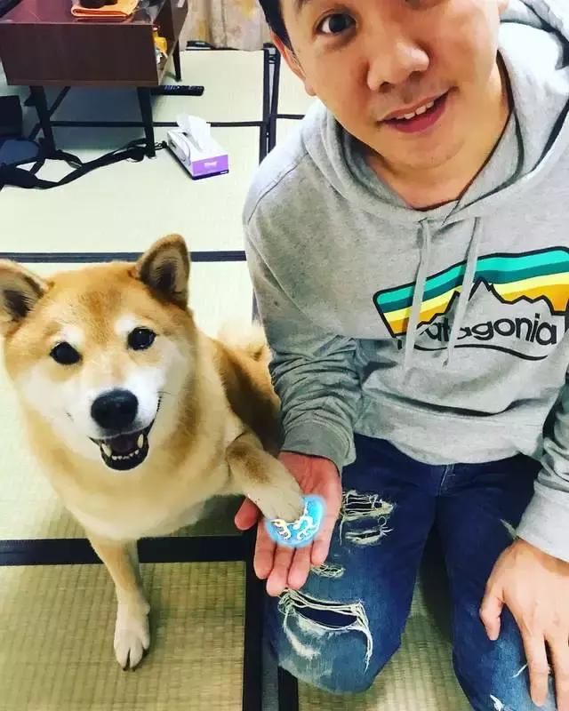 丸太郎在网路上可是相当知名的人气柴柴