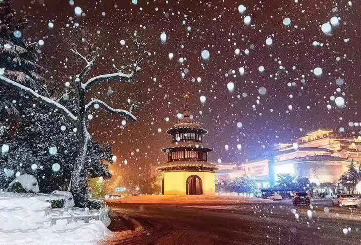 此外,因降雪,g2京沪高速,s28启扬高速,s49新扬高速特级管制,各入口