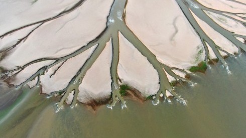 水位持续下降 鄱阳湖现“大地之树”自然景观现象 水位持续下降 鄱阳湖现“大地之树”自然景观现象