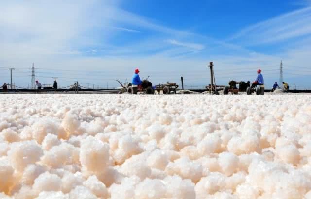 1,海盐除螨 海盐跟矿井盐,湖盐是有区别的,海盐在满月涨潮的时候抽取
