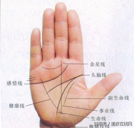 手相看感情:感情线的3种形态透漏你的异性缘好坏 手相看感情:感情线的3种形态透漏你的异性缘好坏