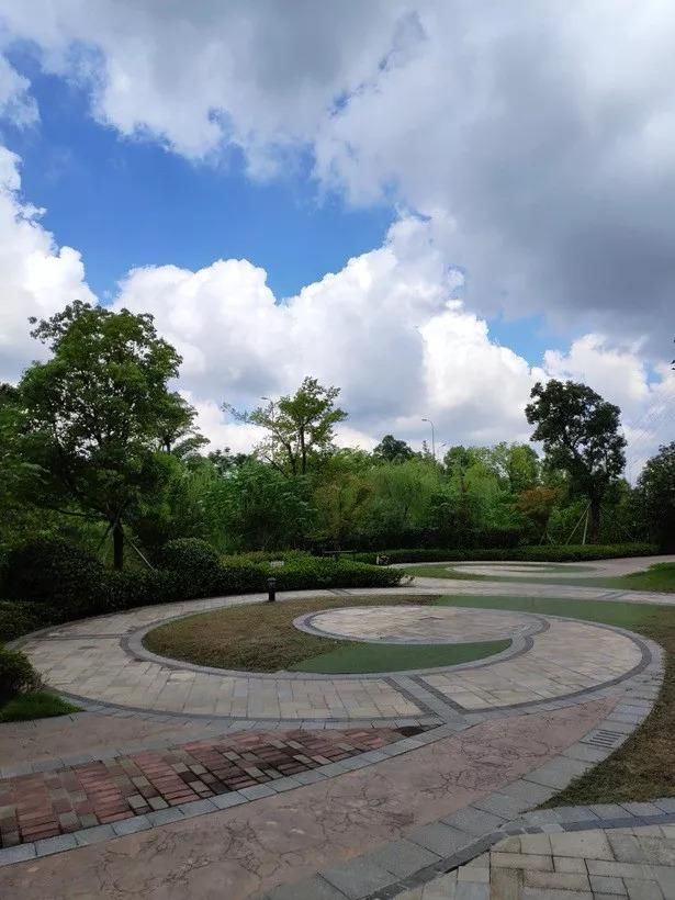 坚果PRO2S 相机样张实拍对比小米8SE、坚果PRO2