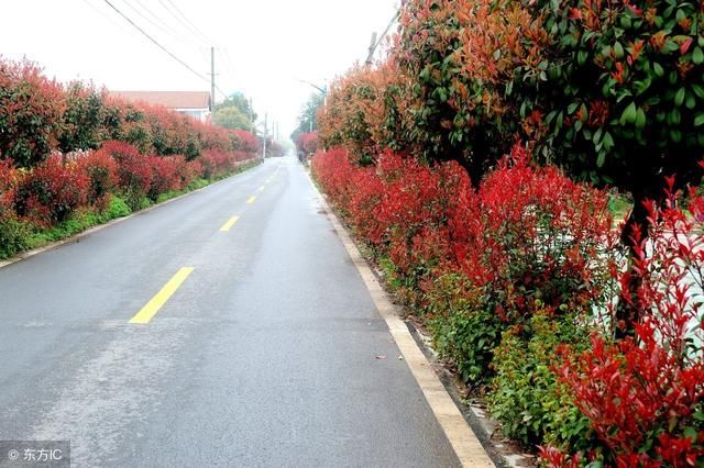 2018年的新农村建设补贴来了,补贴力度相当大