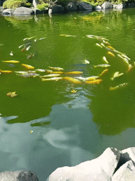 搞笑gif:大哥被车子辗过两次居然都没事,身板挺硬的啊!