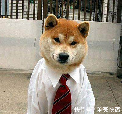 幽默笑话半夜给女友发信息,点错发给了女主管