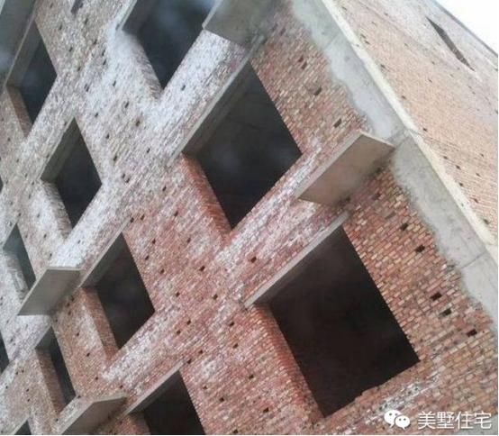 农村大叔花25万自建毛坯房,开四十个窗户,成为