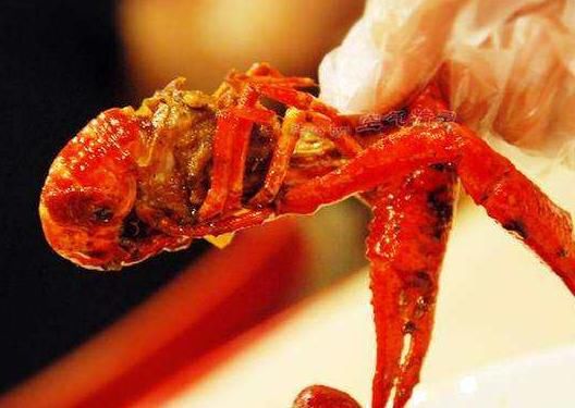 虾线到底能不能吃?虾里有寄生虫吗?吃虾高手