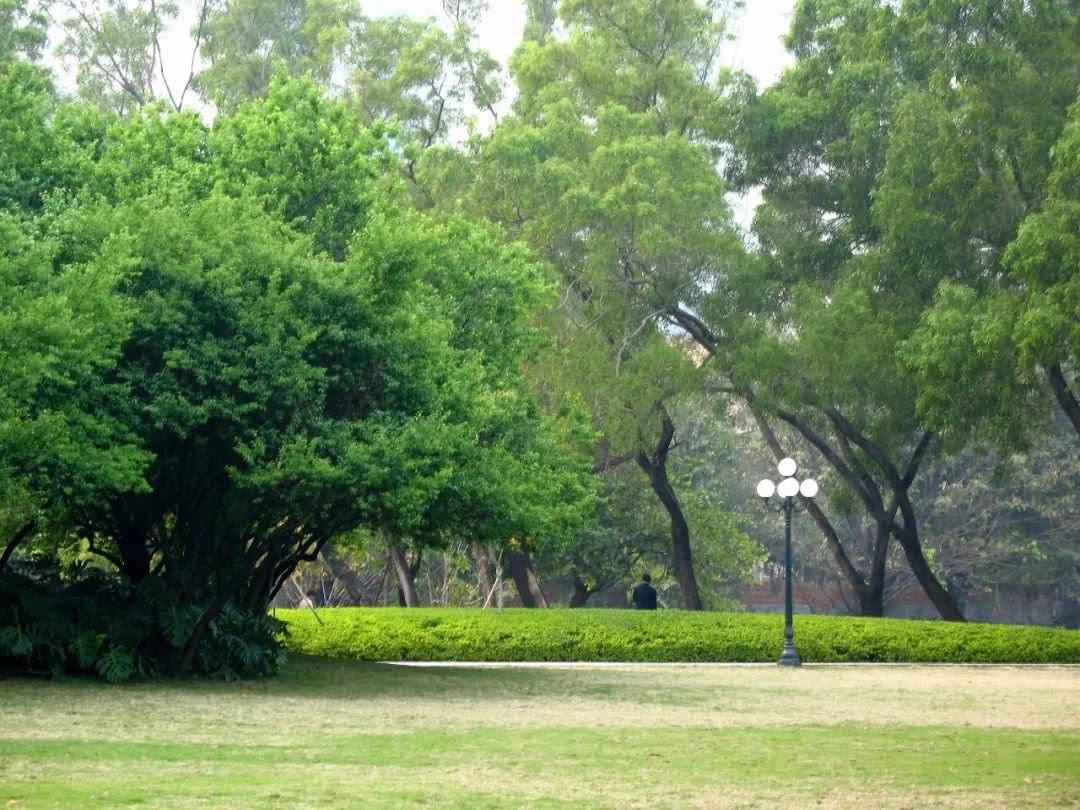 重磅!深圳各区2017年GDP排名曝光!南山区45