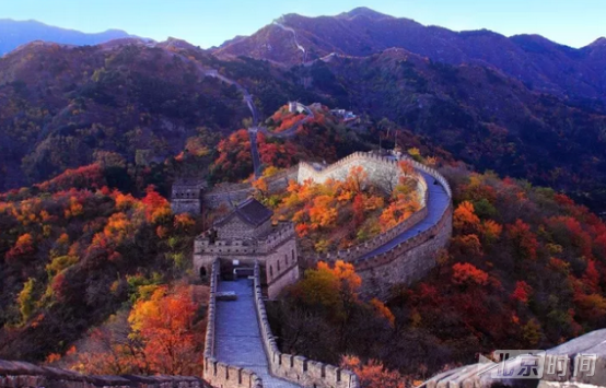 美得不要不要的!北京慕田峪长城红叶已进入最佳观赏期 美得不要不要的!北京慕田峪长城红叶已进入最佳观赏期