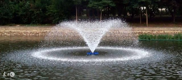 车能借给他人开吗?出了事故谁负责,来看法律怎