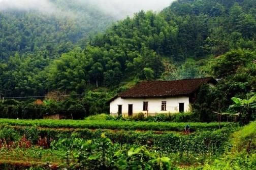 55岁老汉没老婆,被全村人欺负,5年后来了10辆