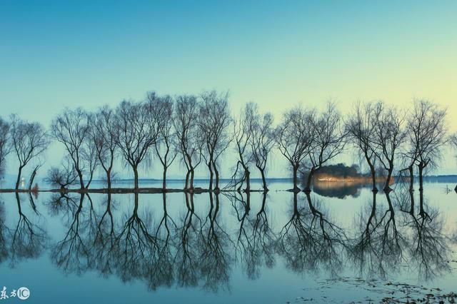 三毛经典语录欣赏|真是一个随性洒脱自由的女
