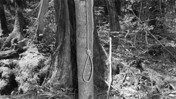 隐藏在“日本自杀森林”的真相 隐藏在“日本自杀森林”的真相