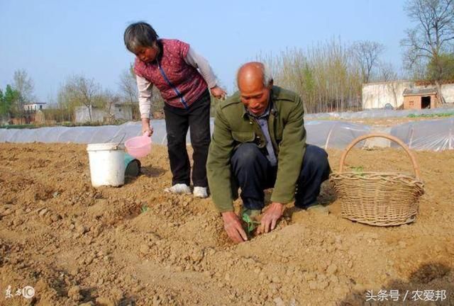 农民注意:土地承包期延长至2057年,农村新增人