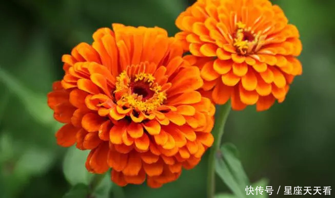 得罪不起4生肖,9月运势如火如荼,衣食无忧,下半