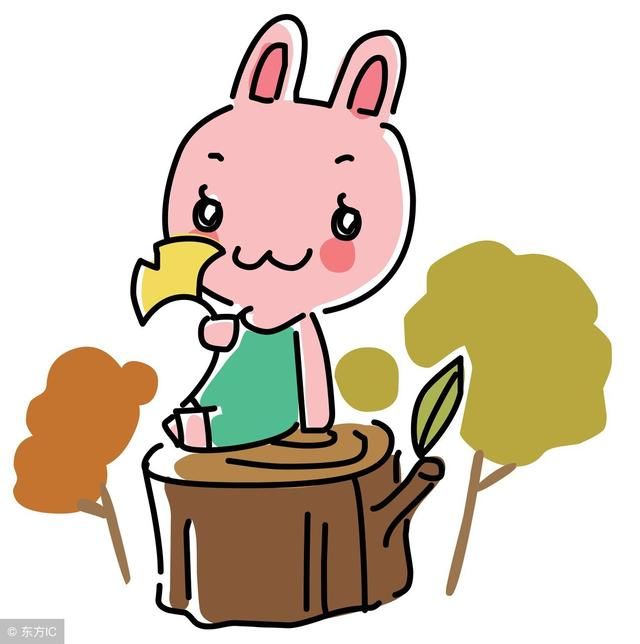 生肖兔厉害了,在8月红红火火,扶摇直上!